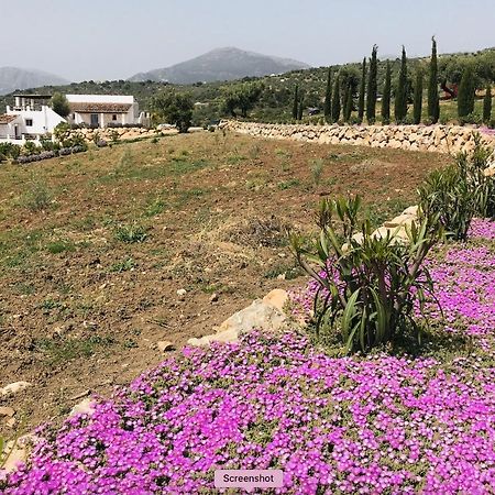 Finca Zayas Casa Rural & Guest Suites Periana エクステリア 写真