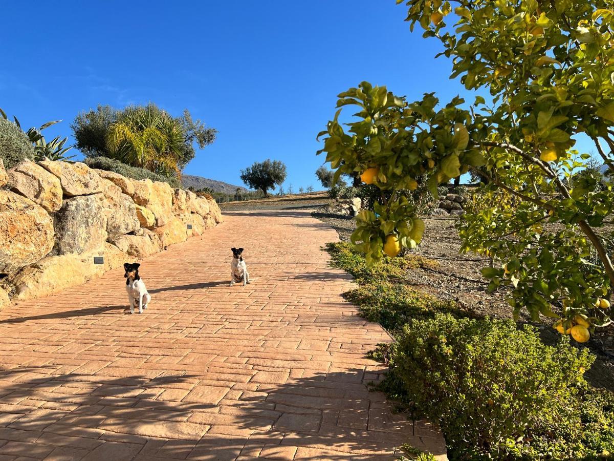 Finca Zayas Casa Rural & Guest Suites Periana エクステリア 写真