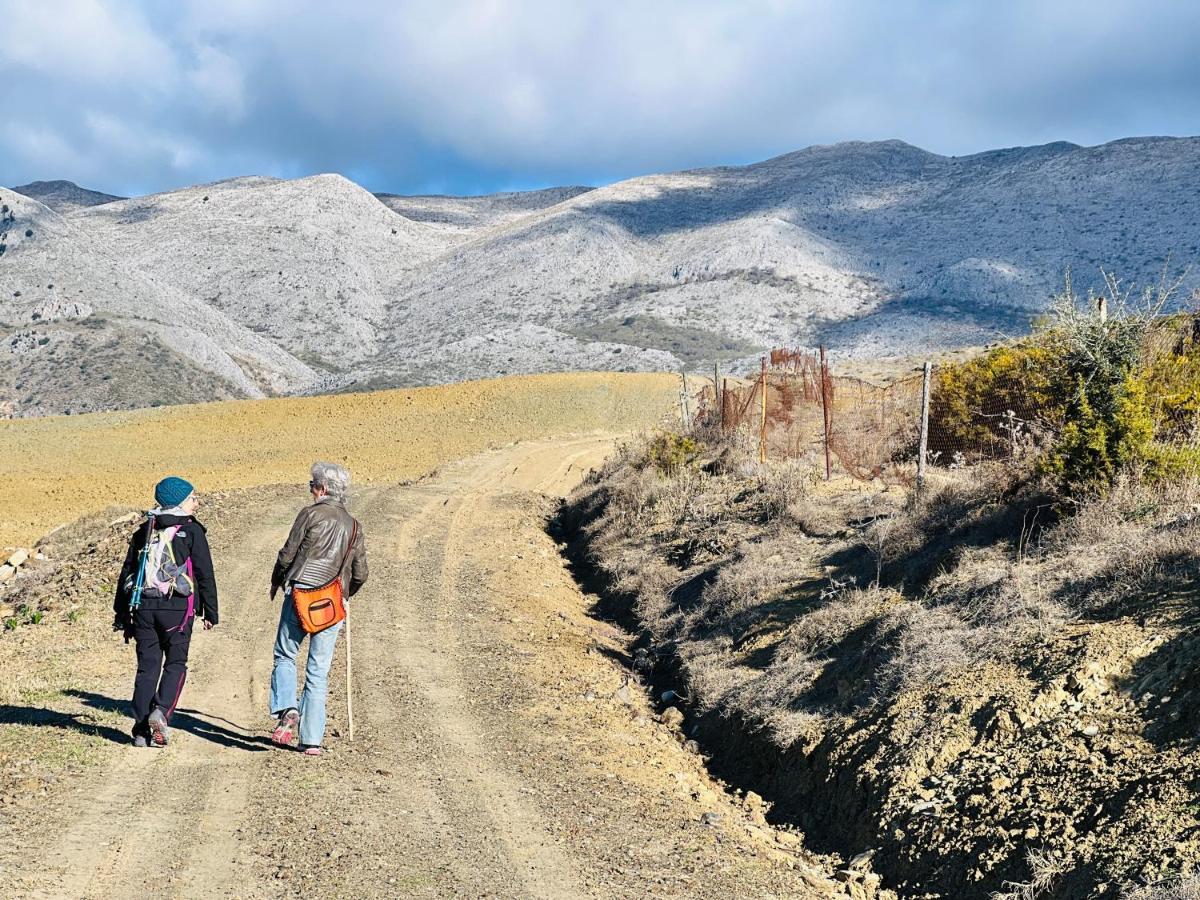 Finca Zayas Casa Rural & Guest Suites Periana エクステリア 写真