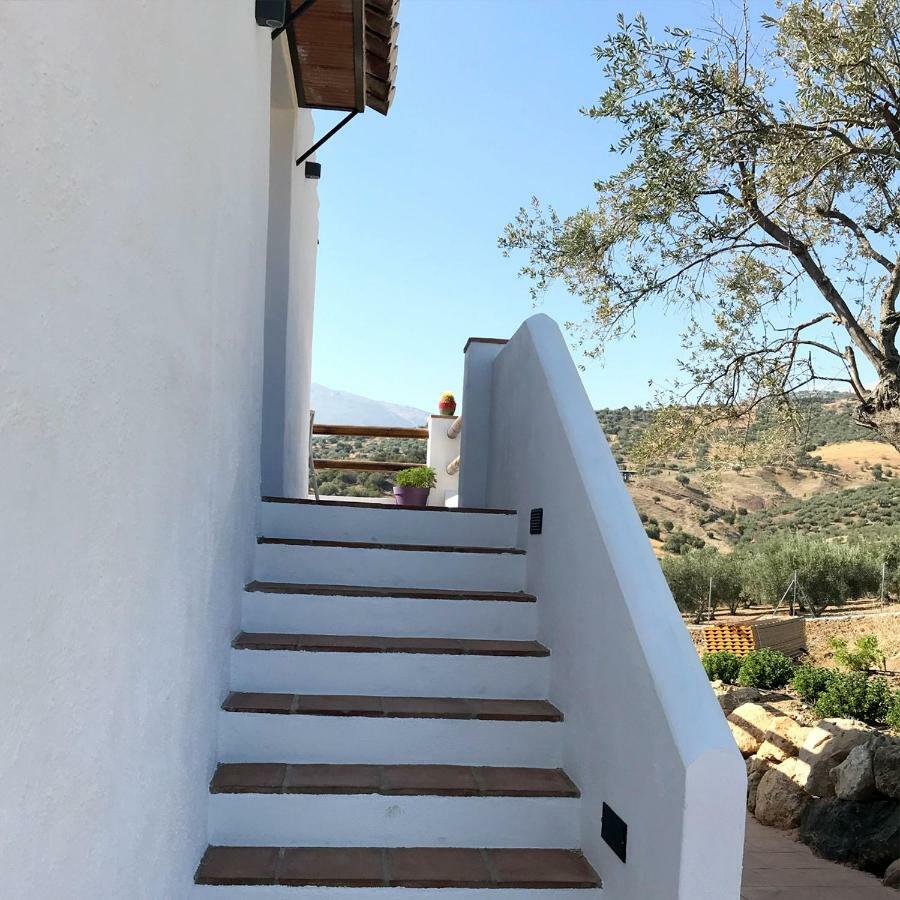 Finca Zayas Casa Rural & Guest Suites Periana エクステリア 写真
